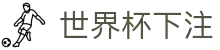 2026世界杯买球首页 - 世界杯入口